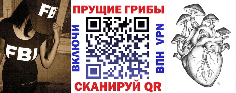 ОМГ ОМГ   Лысьва  Псилоцибиновые грибы Psilocybe 